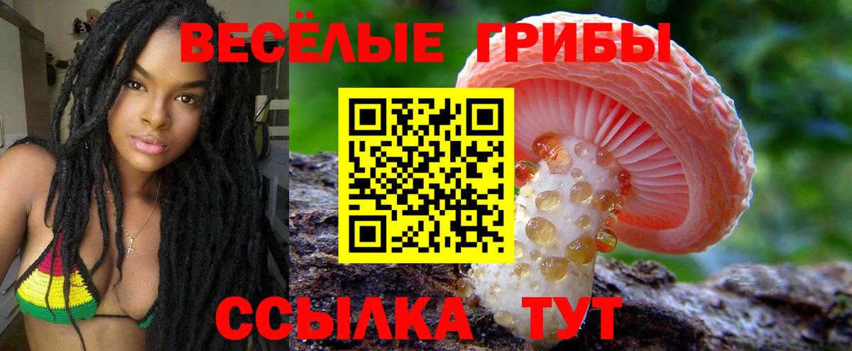 Псилоцибиновые грибы прущие грибы Моздок