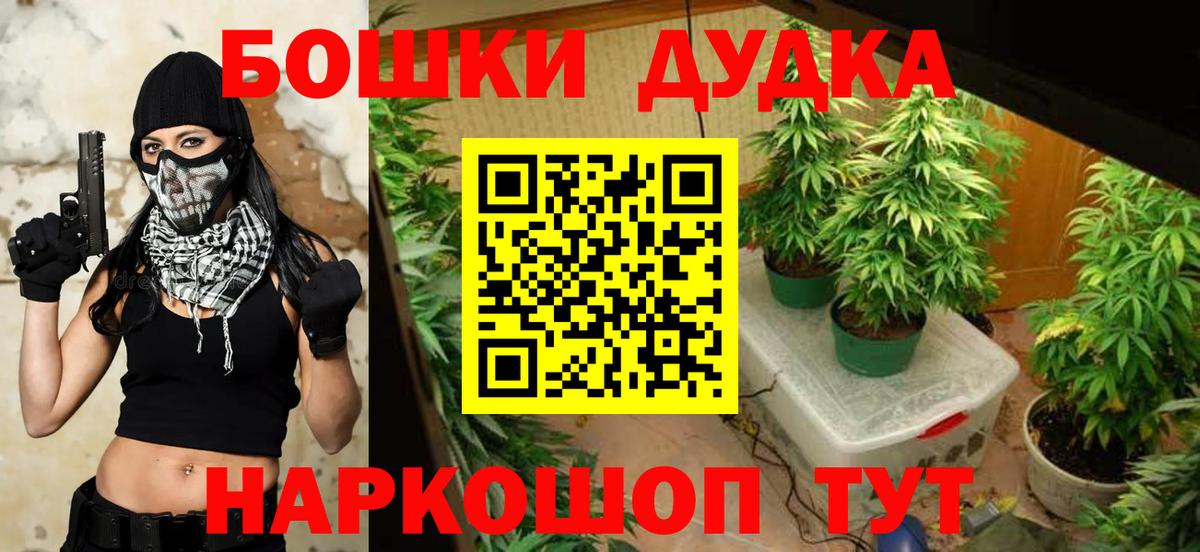 Бошки марихуана SATIVA & INDICA Моздок